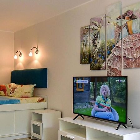 Stilingi Apartamentai Su Virtuve Traku Miesto Centre 트라카이 외부 사진