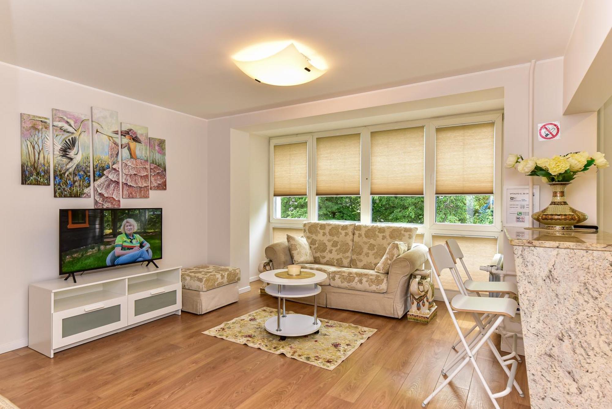 Stilingi Apartamentai Su Virtuve Traku Miesto Centre 트라카이 외부 사진