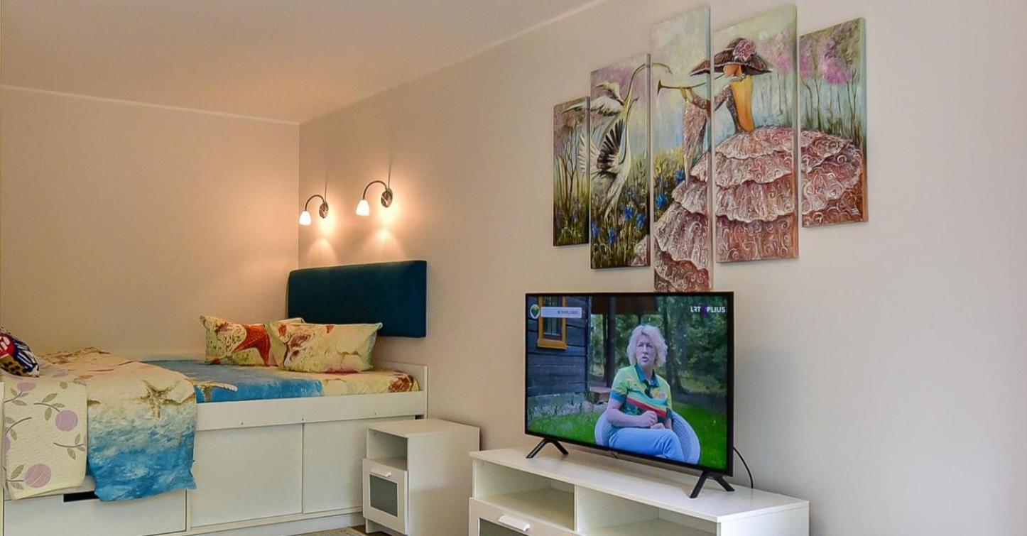 Stilingi Apartamentai Su Virtuve Traku Miesto Centre 트라카이 외부 사진