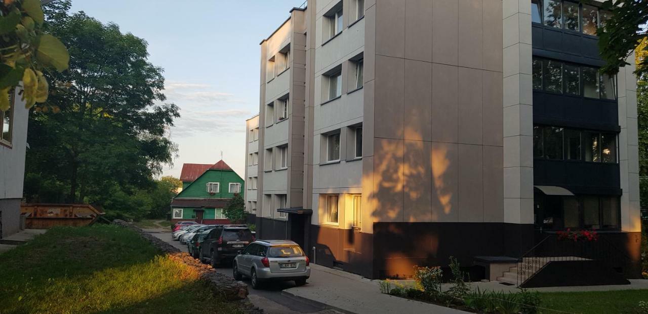 Stilingi Apartamentai Su Virtuve Traku Miesto Centre 트라카이 외부 사진